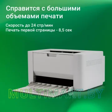Принтер Digma DHP-2401 (серый) картинка 3